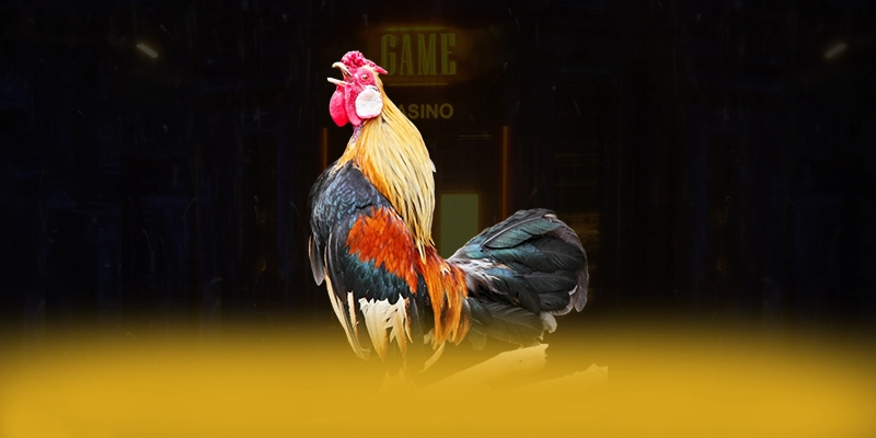 Đánh giá LC88 - Thương hiệu được tin dùng trên thị trường
Đánh giá LC88 - Thương hiệu được tin dùng trên thị trường