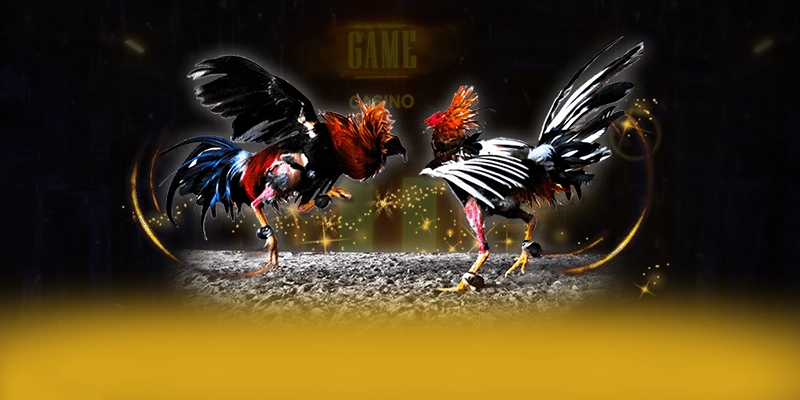 CONGA6789 - Cổng giải trí có quà tặng đặc biệt trên thị trường – Điểm qua CONGA6789