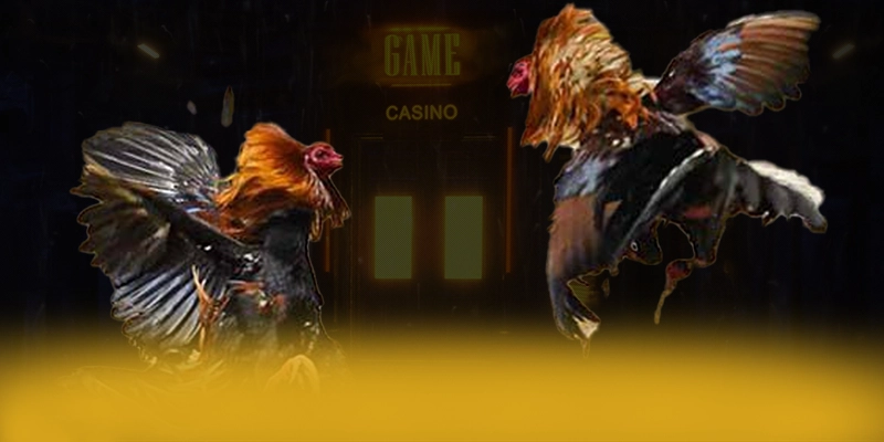 DAGA88 - Cổng game cung cấp hàng trăm tựa game đẳng cấp trên thị trường – Tìm hiểu thêm về các sản phẩm của DAGA88