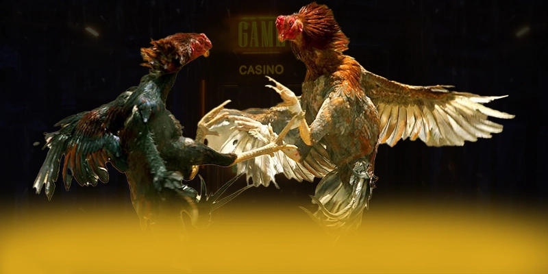 CONGA6789 - Nhà cái cam kết bảo vệ người chơi tuyệt đối được người chơi tin dùng – Đánh giá CONGA6789