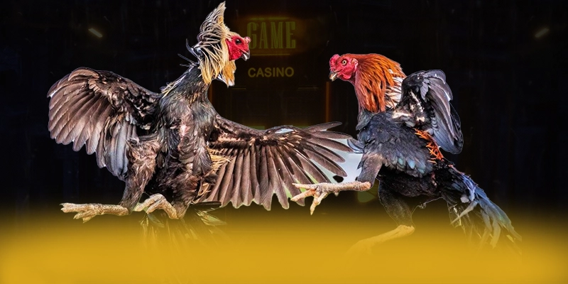 VWIN – Cổng game đẳng cấp, được cộng đồng đánh giá tích cực. VWIN – Cổng game đẳng cấp, được cộng đồng đánh giá tích cực.