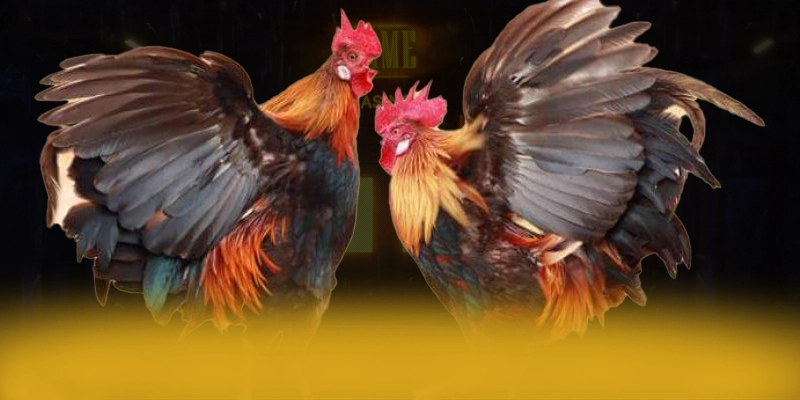 tài xỉu online - Cổng game minh bạch được giới chuyên môn đánh giá cao – Khám phá ngay tài xỉu online tài xỉu online - Cổng game minh bạch được giới chuyên môn đánh giá cao – Khám phá ngay tài xỉu online