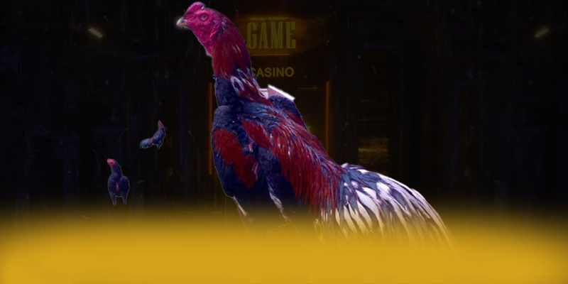 CONGA6789 - Nhà cái có quà tặng đặc biệt hiện nay – Khám phá sự kiện hấp dẫn tại CONGA6789