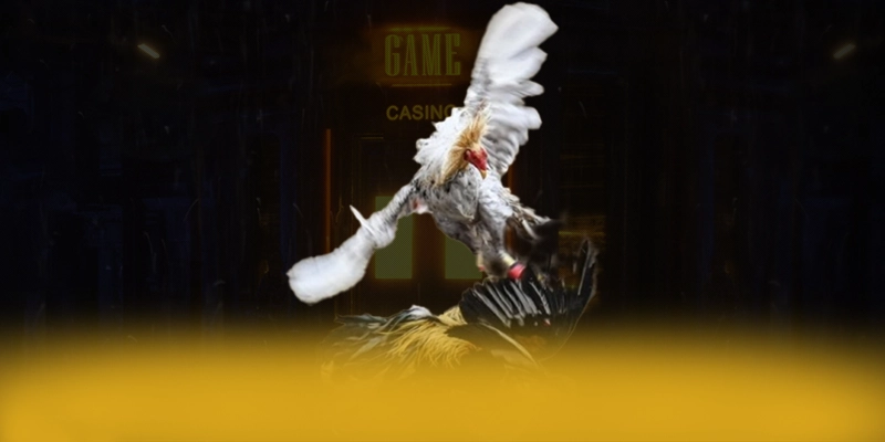 DAGA88 - Ứng dụng giải trí với nhiều tựa game đổi thưởng hấp dẫn trong cộng đồng game thủ – Khám phá ngay các trò chơi tại DAGA88