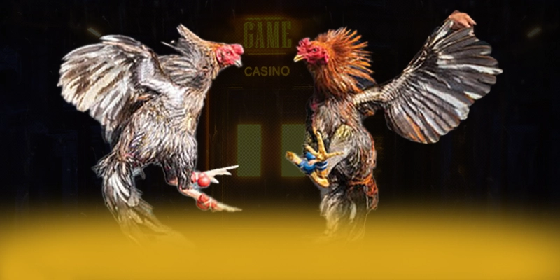 Khám phá thế giới của 789P - Thương hiệu được yêu thích nhất số 1 Việt Nam
Khám phá thế giới của 789P - Thương hiệu được yêu thích nhất số 1 Việt Nam