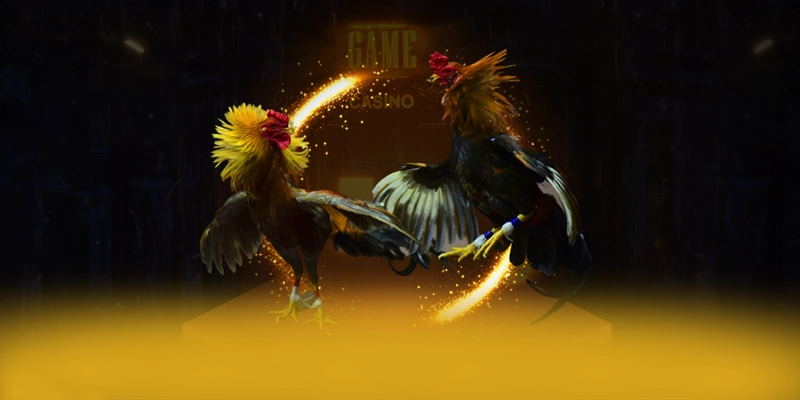 ĐÁ GÀ TRỰC TIẾP - Nhà cái nhiều khuyến mãi siêu hot được người chơi tin tưởng – Săn quà và khuyến mãi hot từ ĐÁ GÀ TRỰC TIẾP ĐÁ GÀ TRỰC TIẾP - Nhà cái nhiều khuyến mãi siêu hot được người chơi tin tưởng – Săn quà và khuyến mãi hot từ ĐÁ GÀ TRỰC TIẾP