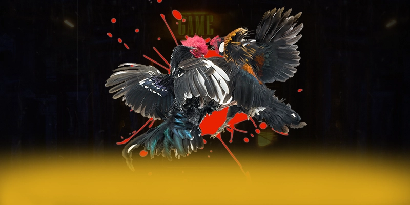 CONGA6789 - Nền tảng cá cược sở hữu kho game phong phú trong cộng đồng game thủ – Khám phá thế giới giải trí tại CONGA6789