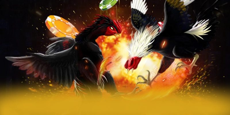 SA88 - Cổng trò chơi có nhiều event hấp dẫn được yêu thích hàng đầu – Điểm qua SA88