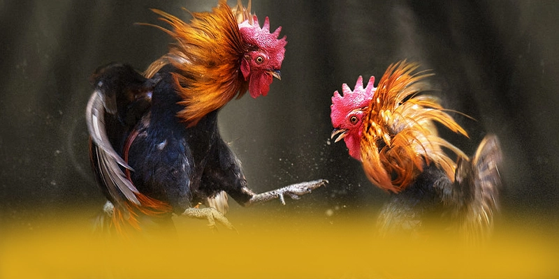 FAFA191 - Cổng giải trí uy tín 2025 – Tìm hiểu thêm về FAFA191 FAFA191 - Cổng giải trí uy tín 2025 – Tìm hiểu thêm về FAFA191