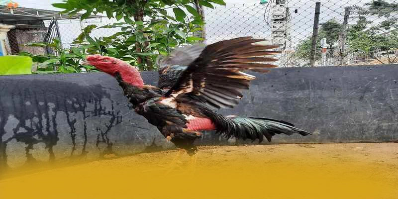 WIN79 - Cổng game hào phóng được giới cược thủ đánh giá cao – Tìm hiểu khuyến mãi độc quyền của WIN79