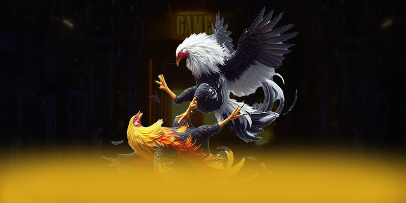 WIN79 - Sảnh game ổn định trong giới game thủ