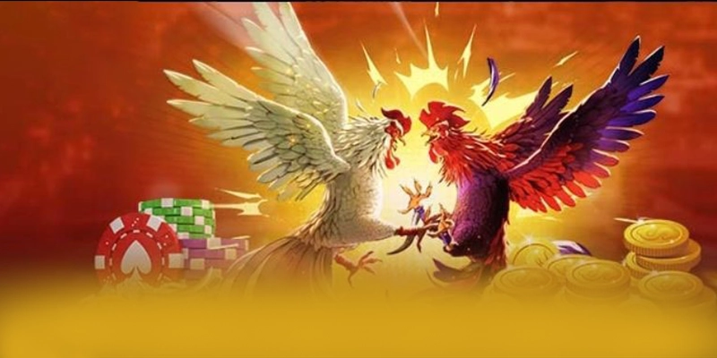 GEM88 - Sảnh game đáng tin cậy tại Việt Nam – Cập nhật thông tin về GEM88 GEM88 - Sảnh game đáng tin cậy tại Việt Nam – Cập nhật thông tin về GEM88