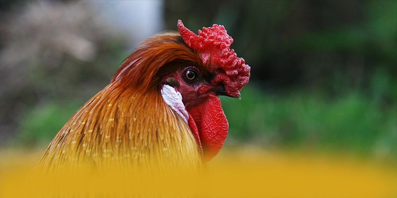 Tìm hiểu 88VV - Cổng giải trí phổ biến nhất trên thị trường
Tìm hiểu 88VV - Cổng giải trí phổ biến nhất trên thị trường