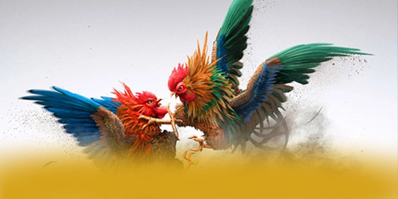 FC88 - Nhà cái có quà tặng đặc biệt được giới cược thủ đánh giá cao – Săn ngay FC88 FC88 - Nhà cái có quà tặng đặc biệt được giới cược thủ đánh giá cao – Săn ngay FC88