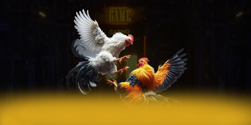 8XBET - Ưu đãi hấp dẫn dành cho người chơi