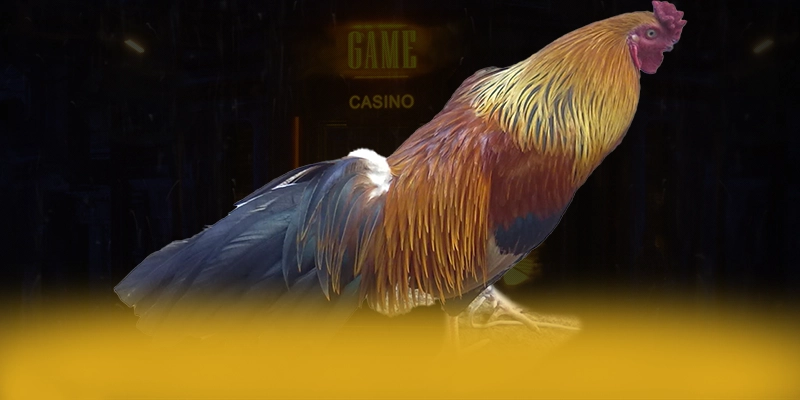 Trực tiếp bóng đá - Sanh game quy tu nhieu sieu pham hot hien nay